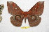  ( - BC-RBP 11632)  @13 [ ] Copyright (2020) Ron Brechlin Research Collection of Ron Brechlin