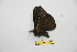  ( - BC-RBP 11651)  @11 [ ] Copyright (2020) Ron Brechlin Research Collection of Ron Brechlin