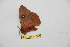  ( - BC-RBP 11665)  @11 [ ] Copyright (2020) Ron Brechlin Research Collection of Ron Brechlin