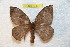  ( - BC-RBP 7881)  @14 [ ] Copyright (2013) Ron Brechlin coll. Ron Brechlin, Pasewalk