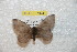  ( - BC-RBP 7924)  @11 [ ] Copyright (2013) Ron Brechlin coll. Ron Brechlin, Pasewalk