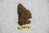  ( - BC-RBP 8007)  @11 [ ] Copyright (2013) Ron Brechlin Research Collection of Ron Brechlin