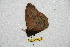  ( - BC-RBP 8019)  @12 [ ] Copyright (2013) Ron Brechlin Research Collection of Ron Brechlin