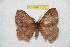  ( - BC-RBP 11701)  @11 [ ] Copyright (2020) Ron Brechlin Research Collection of Ron Brechlin