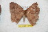  ( - BC-RBP 11716)  @11 [ ] Copyright (2020) Ron Brechlin Research Collection of Ron Brechlin