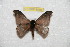 ( - BC-RBP 8059)  @13 [ ] Copyright (2013) Ron Brechlin Research Collection of Ron Brechlin