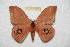  ( - BC-RBP 8063)  @13 [ ] Copyright (2013) Ron Brechlin Research Collection of Ron Brechlin