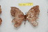  ( - BC-RBP 11727)  @11 [ ] Copyright (2020) Ron Brechlin Research Collection of Ron Brechlin