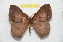  ( - BC-RBP 11734)  @11 [ ] Copyright (2020) Ron Brechlin Research Collection of Ron Brechlin
