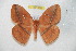  ( - BC-RBP 8097)  @12 [ ] Copyright (2013) Ron Brechlin Research Collection of Ron Brechlin