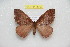  ( - BC-RBP 11757)  @11 [ ] Copyright (2020) Ron Brechlin Research Collection of Ron Brechlin
