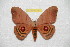  ( - BC-RBP 8160)  @13 [ ] Copyright (2013) Ron Brechlin Research Collection of Ron Brechlin