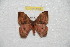  ( - BC-RBP 8164)  @12 [ ] Copyright (2013) Ron Brechlin Research Collection of Ron Brechlin