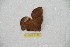 ( - BC-RBP 8179)  @12 [ ] Copyright (2013) Ron Brechlin Research Collection of Ron Brechlin