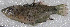  ( - CM001_005)  @11 [ ] CreativeCommons Attribution ShareAlike (2022) Institut Halieutique et des Sciences Marines Institut Halieutique et des Sciences Marines