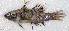  ( - CM002_002)  @11 [ ] CreativeCommons Attribution ShareAlike (2021) Institut Halieutique et des Sciences Marines Institut Halieutique et des Sciences Marines