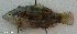  ( - CM003_014)  @11 [ ] CreativeCommons Attribution ShareAlike (2022) Institut Halieutique et des Sciences Marines Institut Halieutique et des Sciences Marines