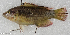  ( - CM008_005)  @11 [ ] CreativeCommons Attribution ShareAlike (2022) Institut Halieutique et des Sciences Marines Institut Halieutique et des Sciences Marines
