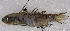 ( - CM011_012)  @11 [ ] CreativeCommons Attribution ShareAlike (2022) Institut Halieutique et des Sciences Marines Institut Halieutique et des Sciences Marines