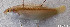  ( - CM014_004)  @11 [ ] CreativeCommons Attribution ShareAlike (2022) Institut Halieutique et des Sciences Marines Institut Halieutique et des Sciences Marines