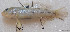 ( - CM015_005)  @11 [ ] CreativeCommons Attribution ShareAlike (2022) Institut Halieutique et des Sciences Marines Institut Halieutique et des Sciences Marines