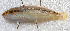  ( - CM016_007)  @11 [ ] CreativeCommons Attribution ShareAlike (2022) Institut Halieutique et des Sciences Marines Institut Halieutique et des Sciences Marines