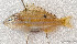  ( - CM020_007)  @11 [ ] CreativeCommons Attribution ShareAlike (2022) Institut Halieutique et des Sciences Marines Institut Halieutique et des Sciences Marines