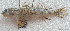  ( - CM021_008)  @11 [ ] CreativeCommons Attribution ShareAlike (2022) Institut Halieutique et des Sciences Marines Institut Halieutique et des Sciences Marines