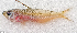  ( - CM023_021)  @11 [ ] CreativeCommons Attribution ShareAlike (2022) Institut Halieutique et des Sciences Marines Institut Halieutique et des Sciences Marines