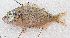  ( - CM025_012)  @11 [ ] CreativeCommons Attribution ShareAlike (2022) Institut Halieutique et des Sciences Marines Institut Halieutique et des Sciences Marines