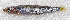  ( - CM028_001)  @11 [ ] CreativeCommons Attribution ShareAlike (2022) Institut Halieutique et des Sciences Marines Institut Halieutique et des Sciences Marines