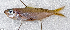  ( - CM028_022)  @11 [ ] CreativeCommons Attribution ShareAlike (2022) Institut Halieutique et des Sciences Marines Institut Halieutique et des Sciences Marines