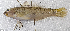  ( - CM029_003)  @11 [ ] CreativeCommons Attribution ShareAlike (2023) Institut Halieutique et des Sciences Marines Institut Halieutique et des Sciences Marines