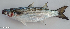  ( - F024_002)  @11 [ ] CreativeCommons Attribution ShareAlike (2022) Institut Halieutique et des Sciences Marines Institut Halieutique et des Sciences Marines