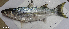  ( - F059_002)  @11 [ ] CreativeCommons Attribution ShareAlike (2022) Institut Halieutique et des Sciences Marines Institut Halieutique et des Sciences Marines