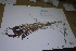  ( - SchTLE-27)  @11 [ ] by-nc (2021) BOL University of Cape Town