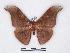  ( - BC-SK0107)  @12 [ ] Copyright (2010) Unspecified Research Collection of Steve Kohll