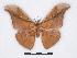  ( - BC-SK0112)  @12 [ ] Copyright (2010) Unspecified Research Collection of Steve Kohll