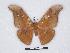  ( - BC-SK0117)  @12 [ ] Copyright (2010) Unspecified Research Collection of Steve Kohll