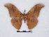  ( - BC-SK0120)  @12 [ ] Copyright (2010) Unspecified Research Collection of Steve Kohll