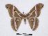  ( - BC-SK0161)  @13 [ ] Copyright (2010) Unspecified Research Collection of Steve Kohll