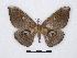  ( - BC-SK0191)  @12 [ ] Copyright (2010) Unspecified Research Collection of Steve Kohll
