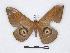  ( - BC-SK0195)  @12 [ ] Copyright (2010) Unspecified Research Collection of Steve Kohll