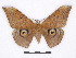  ( - BC-SK0291)  @14 [ ] Copyright (2010) Unspecified Research Collection of Steve Kohll