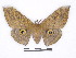  ( - BC-SK0292)  @13 [ ] Copyright (2010) Unspecified Research Collection of Steve Kohll