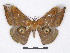  ( - BC-SK0293)  @14 [ ] Copyright (2010) Unspecified Research Collection of Steve Kohll