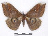  ( - BC-SK0295)  @14 [ ] Copyright (2010) Unspecified Research Collection of Steve Kohll