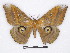  ( - BC-SK0296)  @14 [ ] Copyright (2010) Unspecified Research Collection of Steve Kohll