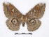  ( - BC-SK0297)  @14 [ ] Copyright (2010) Unspecified Research Collection of Steve Kohll
