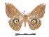  ( - BC-SK0312)  @14 [ ] Copyright (2010) Unspecified Research Collection of Steve Kohll